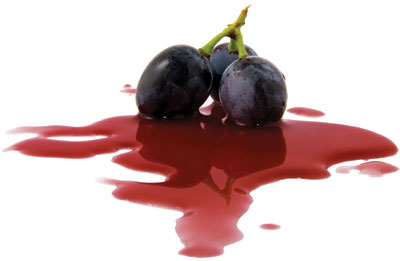 berry grape in a wine puddle